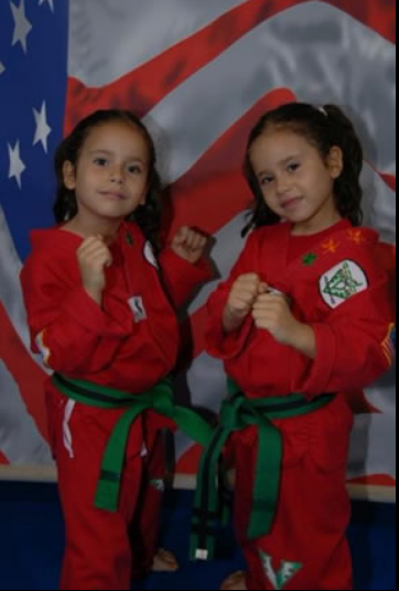 taekwondo classes for children